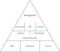 MIPM organisational structure